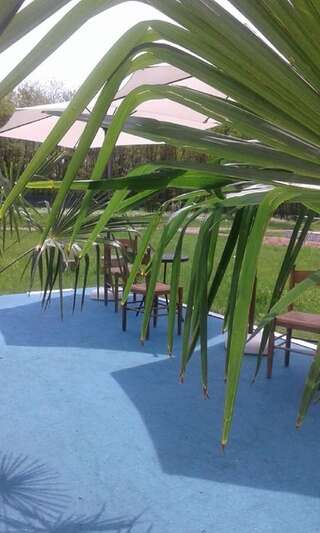 Гостевой дом Pensiunea Casa Vanatorului Oţeleni-3